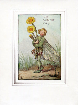 Coltsfoot Flower Fairy 1930's Vintage Print Cicely Barker Spring Book Plate SP005 - The Old Map Shop