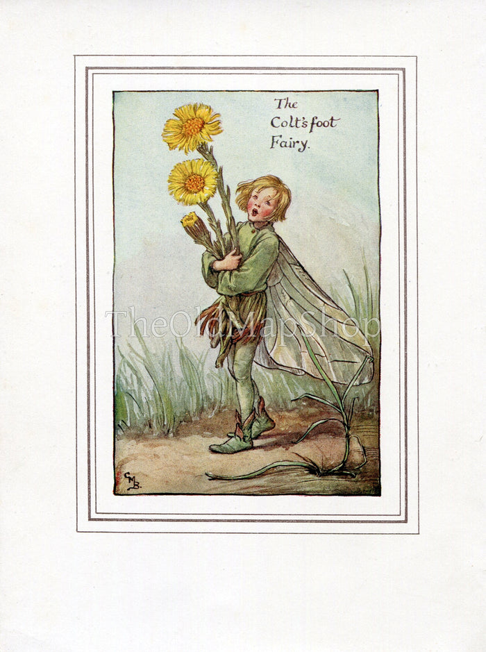 Coltsfoot Flower Fairy 1930's Vintage Print Cicely Barker Spring Book Plate SP005