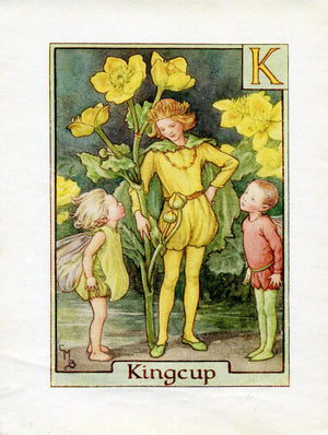 Kingcup Flower Fairy Vintage Print c1940 Cicely Barker Alphabet Letter K Book Plate A025