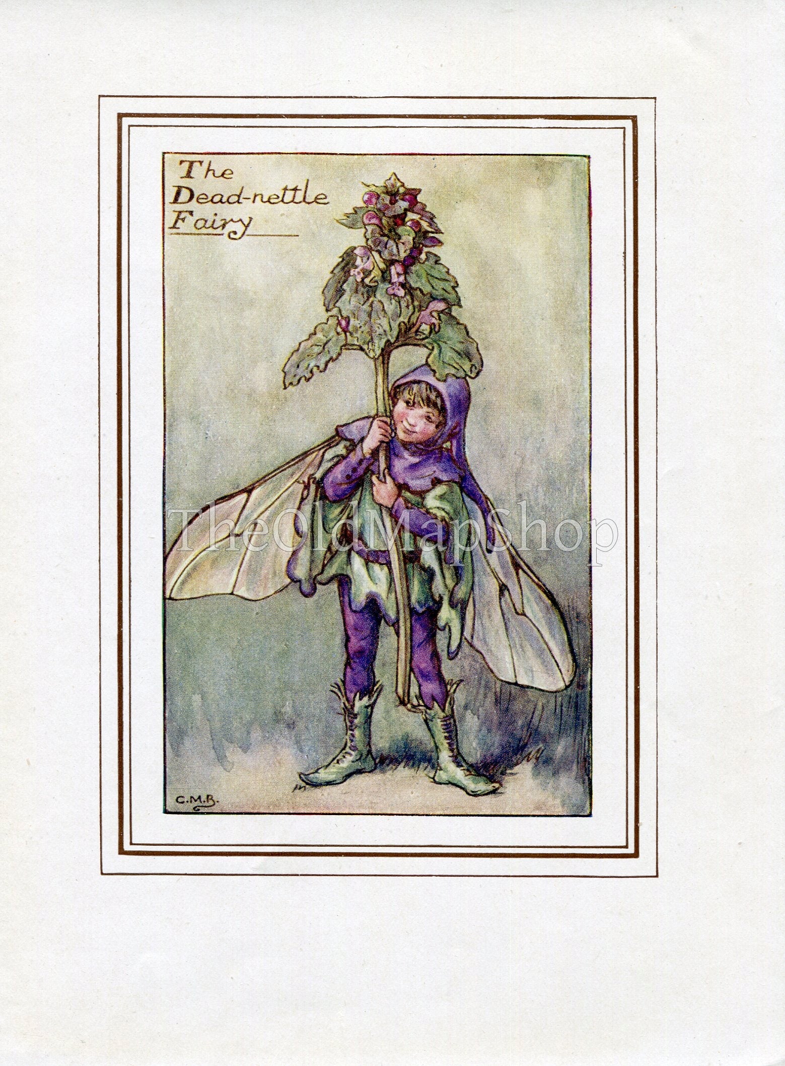 Dead-nettle Flower Fairy 1930's Vintage Print Cicely Barker Spring Book Plate SP010