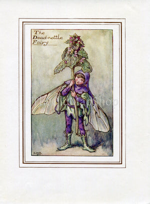 Dead-nettle Flower Fairy 1930's Vintage Print Cicely Barker Spring Book Plate SP010