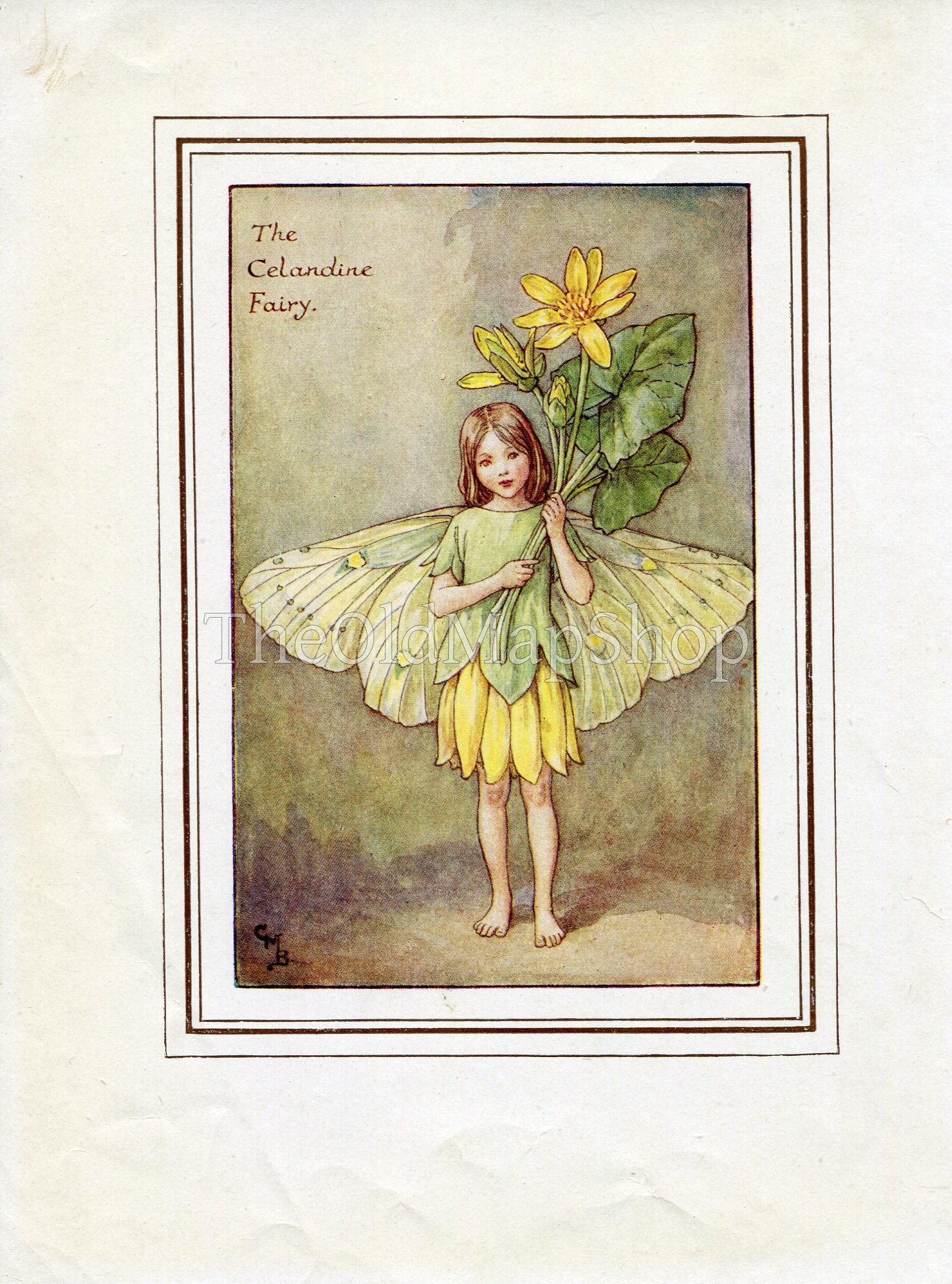 Celandine Flower Fairy 1930's Vintage Print Cicely Barker Spring Book Plate SP012