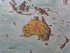 1966-Pictorial-World-Map-Poster-Val-Biro-004