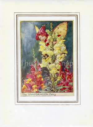 Snapdragon Flower Fairy 1950's Vintage Print Cicely Barker Garden Book Plate G043