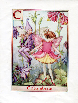 Columbine Flower Fairy Vintage Print c1940 Cicely Barker Alphabet Letter C Book Plate A006