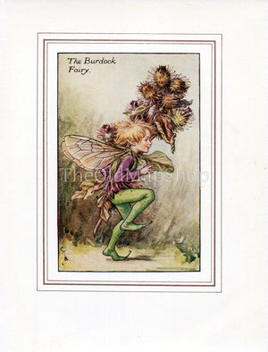 Burdock Flower Fairy 1930's Vintage Print Cicely Barker Autumn Book Plate A013