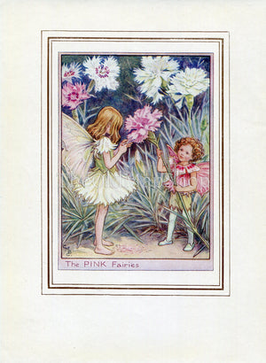 The Pink  Flower Fairy 1950's Vintage Print Cicely Barker Garden Book Plate G028