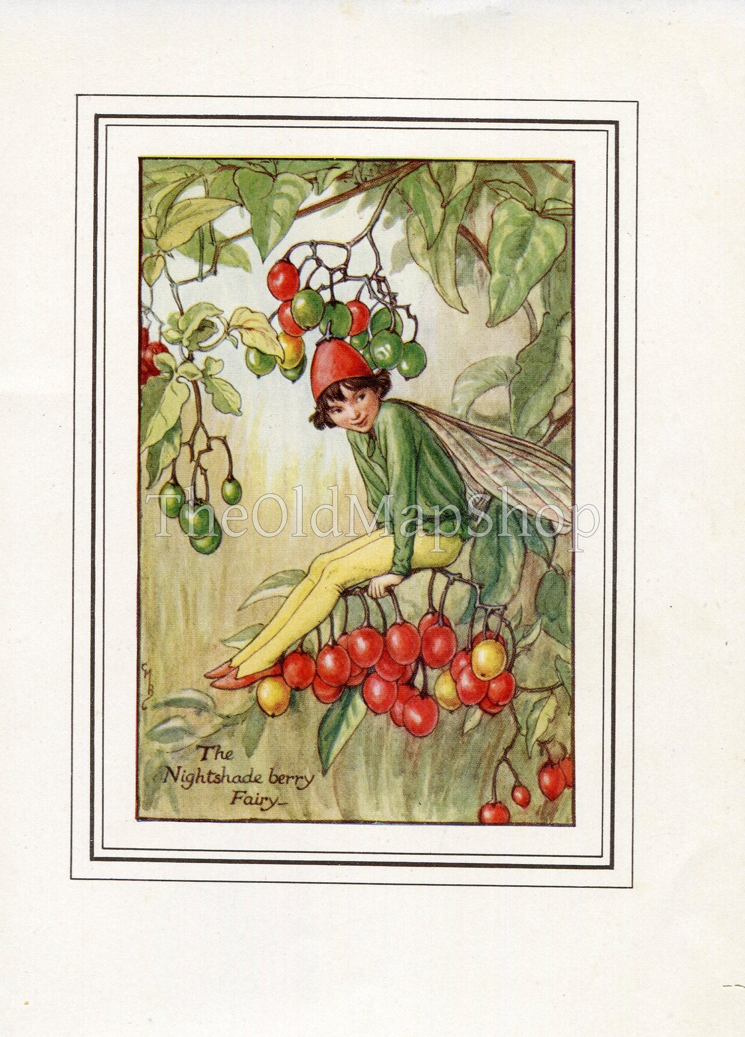 Nightshade Berry Flower Fairy 1930's Vintage Print Cicely Barker Autumn Book Plate A030