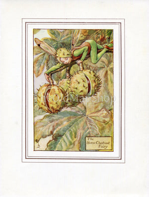 Horse Chestnut Flower Fairy 1930's Vintage Print Cicely Barker Autumn Book Plate A025