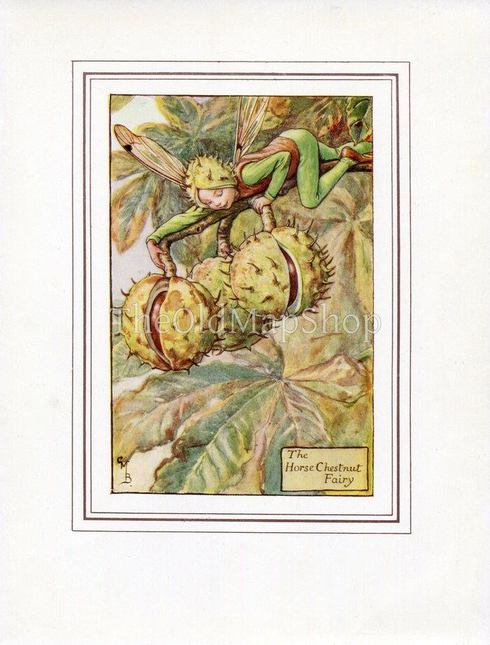 Horse Chestnut Flower Fairy 1930's Vintage Print Cicely Barker Autumn Book Plate A025