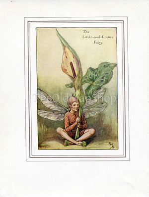 Lords-and-Ladies Flower Fairy 1930's Vintage Print Cicely Barker Spring Book Plate SP046