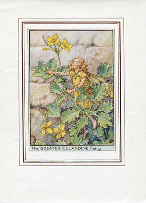 Greater Celandine Flower Fairy 1950's Vintage Print Cicely Barker Wayside Book Plate W004