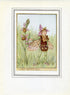 Bee Orchis Flower Fairy 1950's Vintage Print Cicely Barker Wayside Book Plate W026