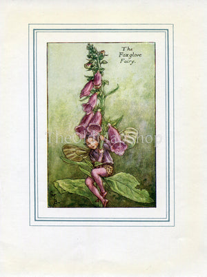 Foxglove Flower Fairy 1930's Vintage Print Cicely Barker Summer Book Plate S010