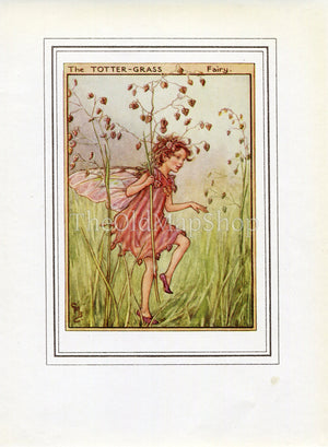 Totter-Grass Flower Fairy 1950's Vintage Print Cicely Barker Wayside Book Plate W043