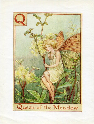 Queen of the Meadow Flower Fairy Vintage Print c1940 Cicely Barker Alphabet Letter Q  Book Plate A041