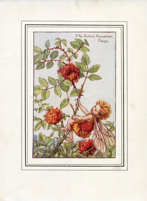 Robin's Pincushion Flower Fairy 1930's Vintage Print Cicely Barker Autumn Book Plate A011