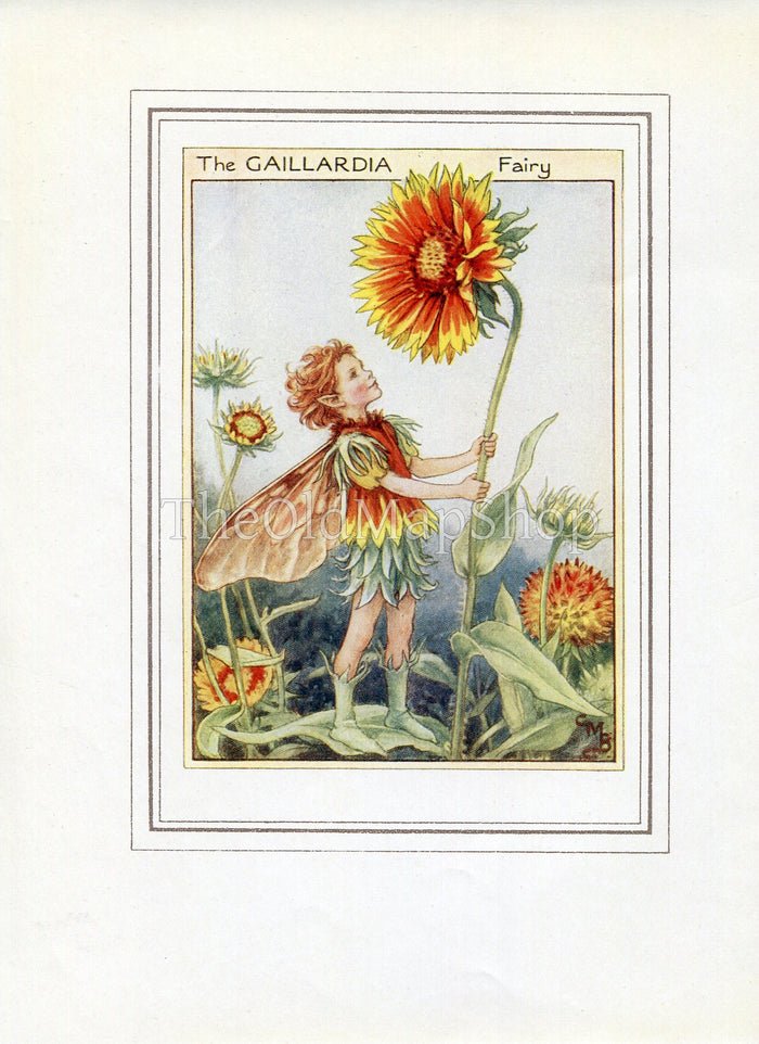 Gaillardia Flower Fairy 1950's Vintage Print Cicely Barker Garden Book Plate G048