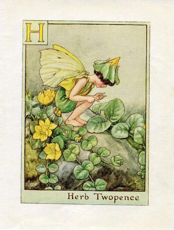 Herb Twopence Flower Fairy Vintage Print c1940 Cicely Barker Alphabet Letter H Book Plate A021