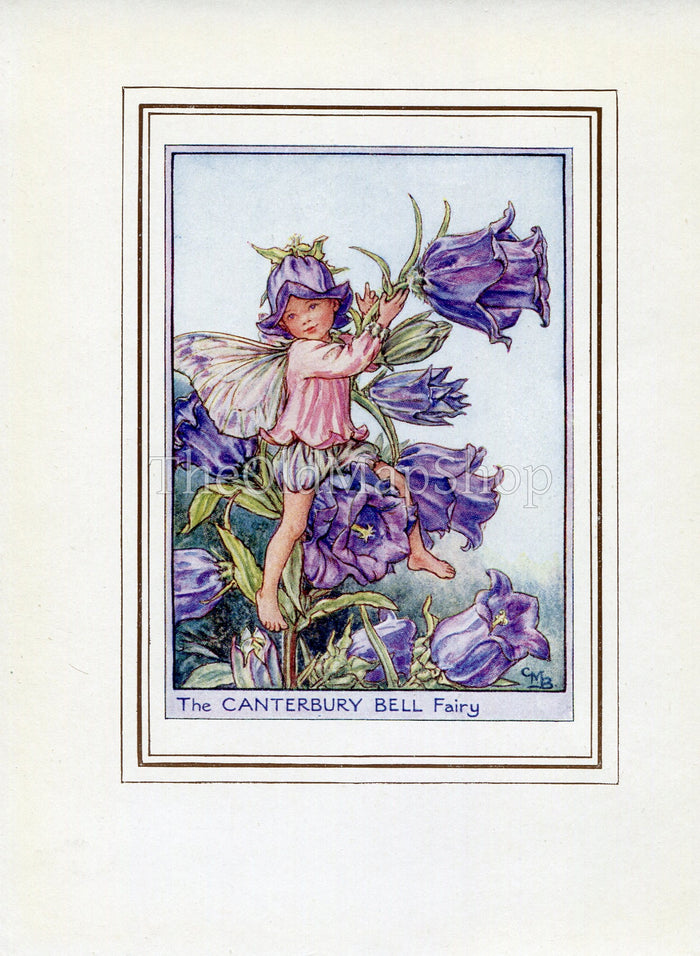 Canterbury Bell Flower Fairy 1950's Vintage Print Cicely Barker Garden Book Plate G032