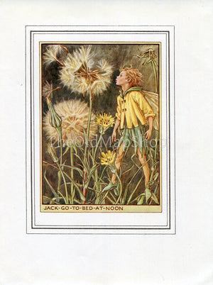 Jack-Go-To-Bed-At-Noon Flower Fairy 1950's Vintage Print Cicely Barker Wayside Book Plate W059
