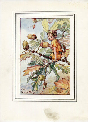 Acorn Flower Fairy 1930's Vintage Print Cicely Barker Autumn Book Plate A018