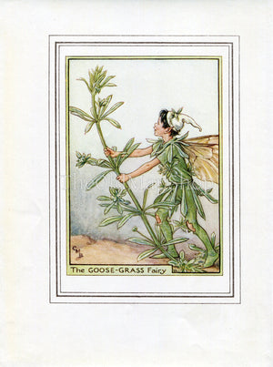Goose-Grass Flower Fairy 1950's Vintage Print Cicely Barker Wayside Book Plate W014