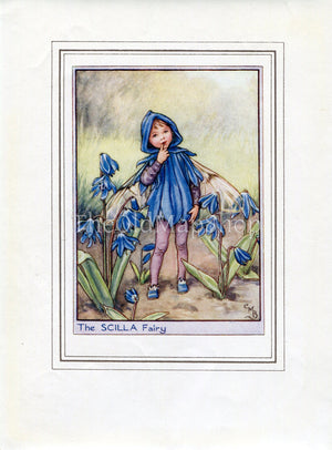 Scilla Flower Fairy 1950's Vintage Print Cicely Barker Garden Book Plate G009