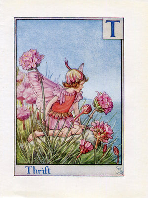 Thrift Flower Fairy Vintage Print c1940 Cicely Barker Alphabet Letter T Book Plate A048