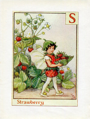 Strawberry Flower Fairy Vintage Print c1940 Cicely Barker Alphabet Letter S Book Plate A045