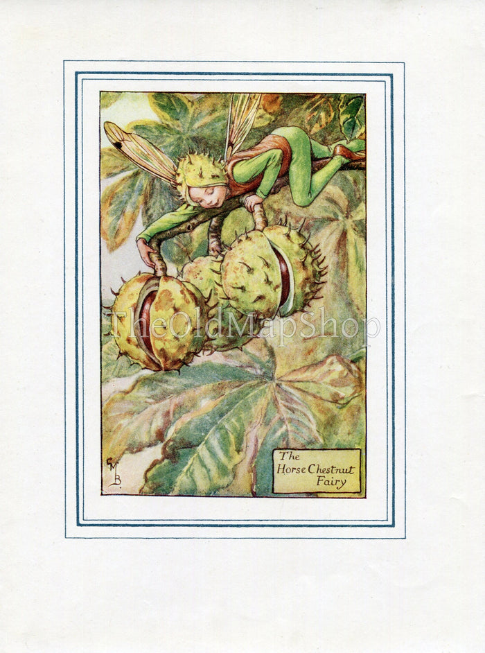 Horse Chestnut Flower Fairy 1930's Vintage Print Cicely Barker Autumn Book Plate A027