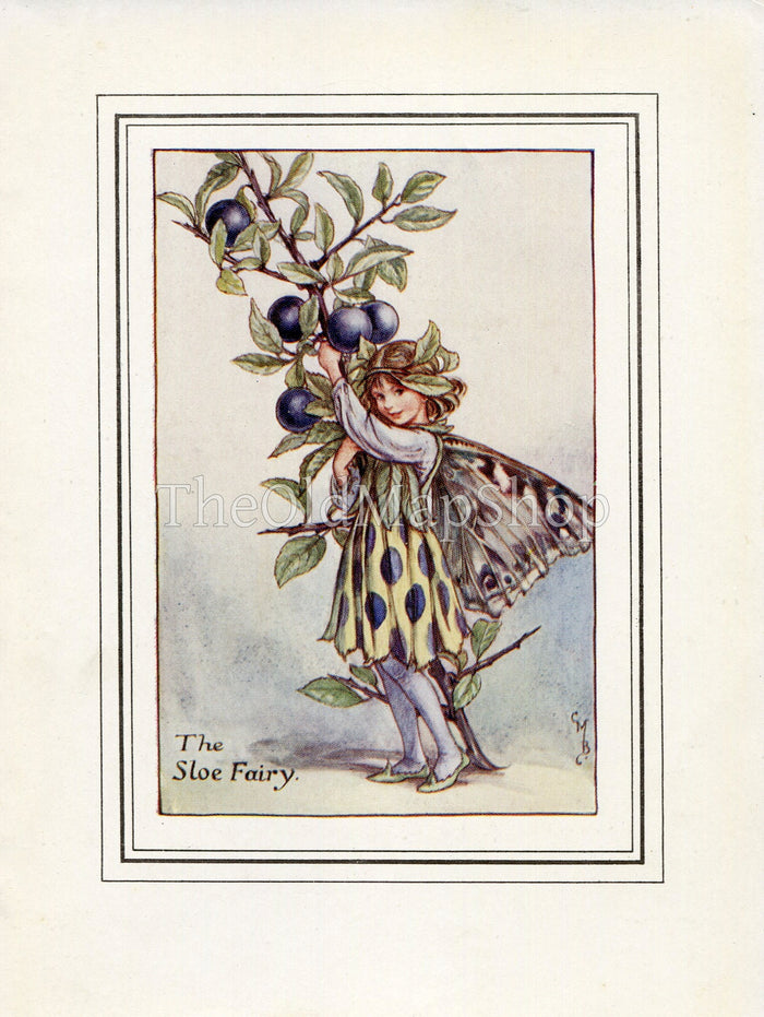 Sloe Flower Fairy 1930's Vintage Print Cicely Barker Autumn Book Plate A049