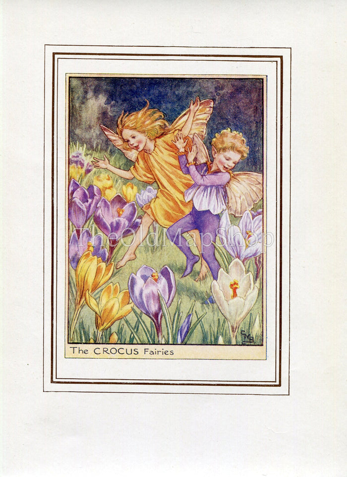 Crocus Flower Fairy 1950's Vintage Print Cicely Barker Garden Book Plate G004
