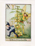 Yellow Deadnettle Flower Fairy Vintage Print c1940 Cicely Barker Alphabet Letter X Y Book Plate A054