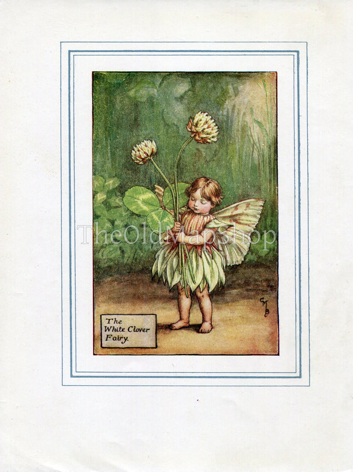 White Clover Flower Fairy 1930's Vintage Print Cicely Barker Summer Book Plate S016