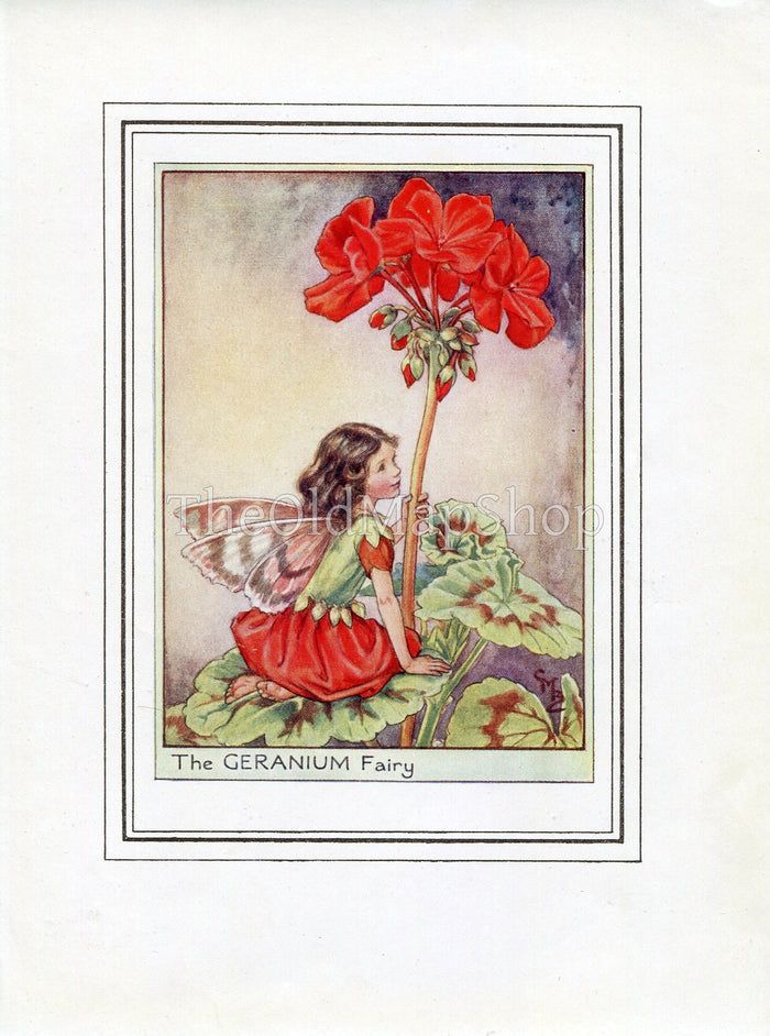 Geranium Flower Fairy 1950's Vintage Print Cicely Barker Garden Book Plate G030