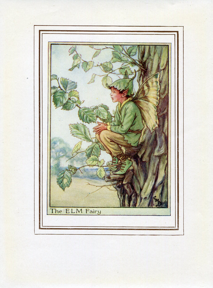 Elm Flower Fairy 1950's Vintage Print Cicely Barker Trees Book Plate T047