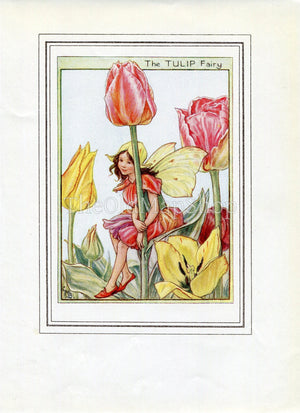 Tulip Flower Fairy 1950's Vintage Print Cicely Barker Garden Book Plate G021