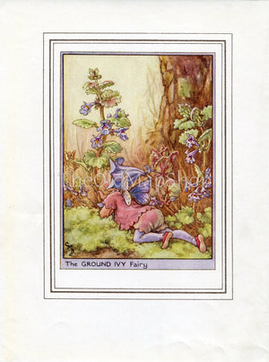 Ground Ivy Flower Fairy 1950's Vintage Print Cicely Barker Wayside Book Plate W009