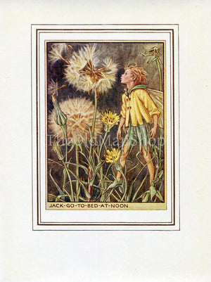Jack-Go-To-Bed-At-Noon Flower Fairy 1950's Vintage Print Cicely Barker Wayside Book Plate W060