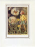 Jack-Go-To-Bed-At-Noon Flower Fairy 1950's Vintage Print Cicely Barker Wayside Book Plate W060