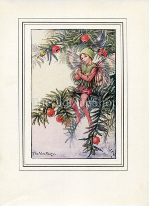 Yew Flower Fairy 1930's Vintage Print Cicely Barker Autumn Book Plate A033