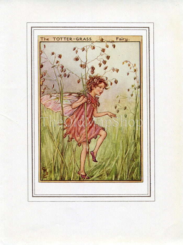 Totter-Grass Flower Fairy 1950's Vintage Print Cicely Barker Wayside Book Plate W044