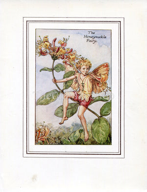 Honeysuckle Flower Fairy 1930's Vintage Print Cicely Barker Summer Book Plate S018