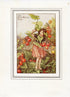Black Bryony Flower Fairy 1930's Vintage Print Cicely Barker Autumn Book Plate A024