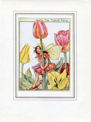 Tulip Flower Fairy 1950's Vintage Print Cicely Barker Garden Book Plate G022