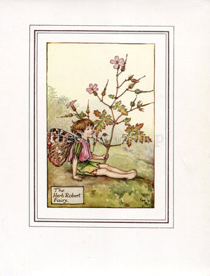 Herb Robert Flower Fairy 1930's Vintage Print Cicely Barker Summer Book Plate S003