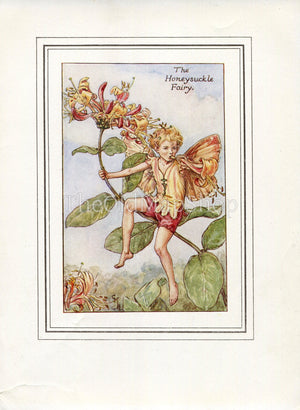 Honeysuckle Flower Fairy 1930's Vintage Print Cicely Barker Summer Book Plate S019