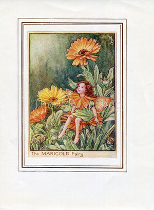 Marigold Flower Fairy 1950's Vintage Print Cicely Barker Garden Book Plate G054