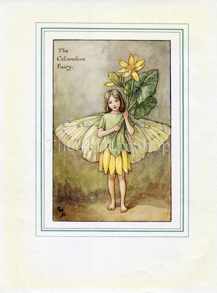 Celandine Flower Fairy 1930's Vintage Print Cicely Barker Spring Book Plate SP013